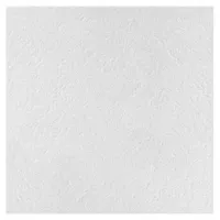 Потолочная плита Армстронг PLAIN Board 600x600x15