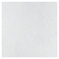 Потолочная плита Армстронг RETAIL NG Board 600x600x12